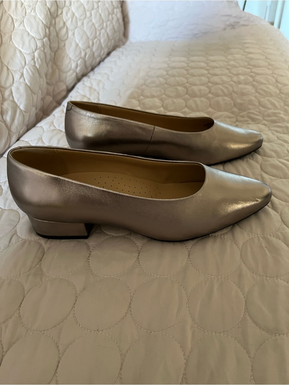 Pewter shoes.  I inch heel never worn